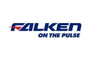 צמיג פלקן FALKEN WILDPEAK H/T 01A 215/65R17 99S OE TL